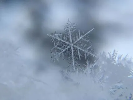 Winter Meditation For Release And Building Light