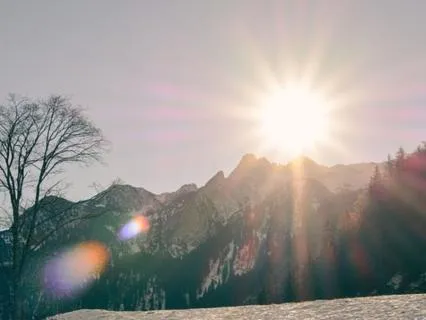 Winter Meditation:  Self Alignment