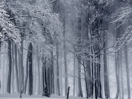 Winter Moments  (Soprano)