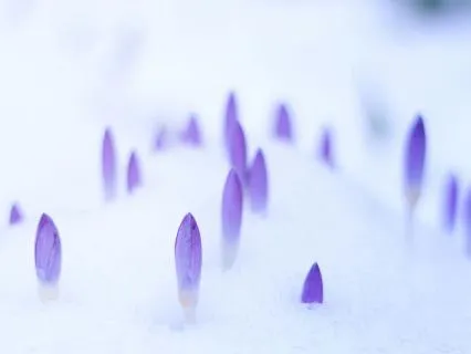 Winter Morning Motivation & Manifestation Meditation