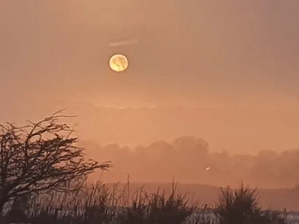 Winter Nidra For Stillness