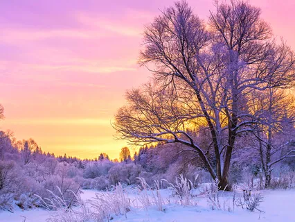 Winter Nidra - Inspired By Nature Inviting Us Home To Rest Deeply