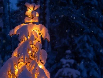 Winter Night Ambience Christmas Carols Snow Sounds