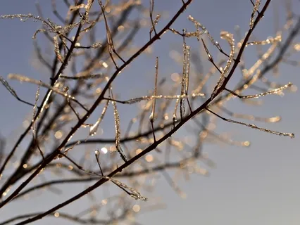 Winter Peace (Piano)