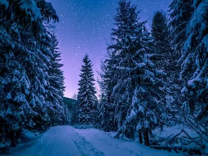 Stopping By Woods On A Snowy Evening | A Winter Poem