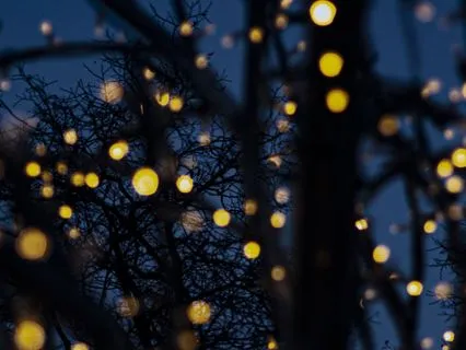 Winter Quiet: Meditation To Ground + Recenter