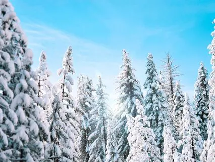 Winter Renewal Energy Healing Meditation