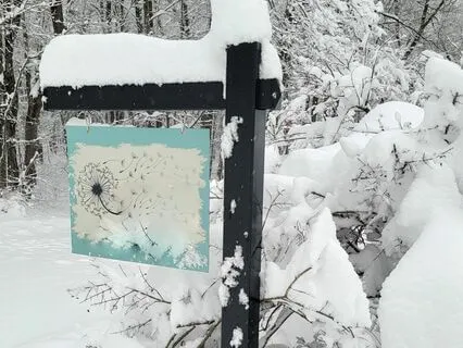 Winter's Tranquil Embrace: A 13-Minute Meditation