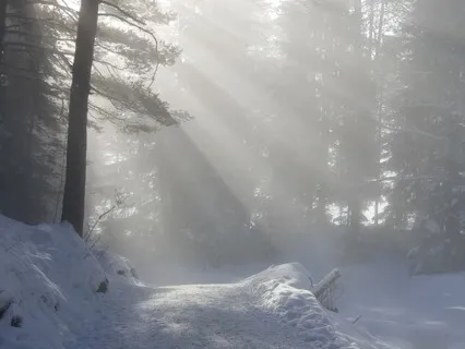 Winter Season Reiki Meditation