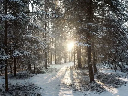 Winter Season Yoga Nidra