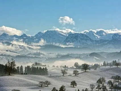Winter Serenity: Embracing Tranquility Amidst Frost