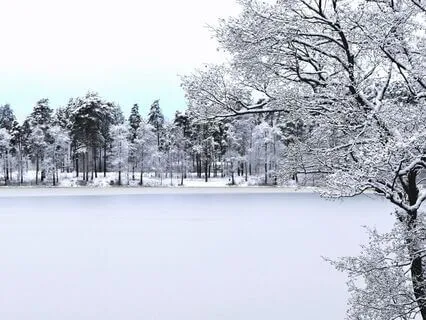 Winter Serenity Music - Snowfall Melodies