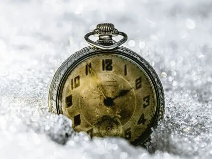 Winter Sleep At The Clockmaker's Workshop