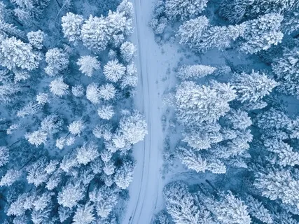 Winter Sleep Relaxation 