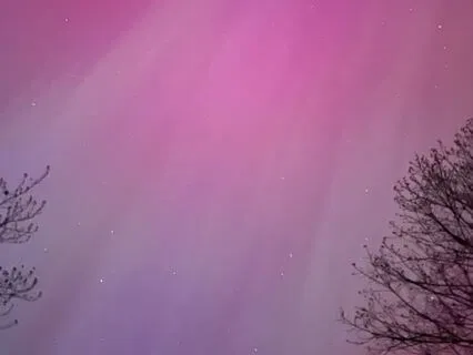 Winter Sleigh Ride To Relax By A Cozy Fire