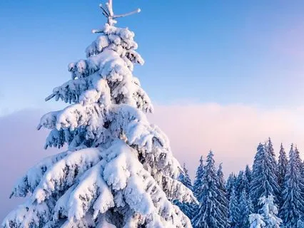 Winter Snow Dreams — Soft Piano for Focus & Zen Moments