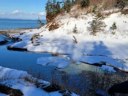 Winter Solstice 2024