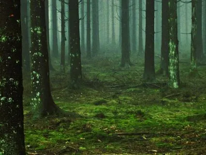 Winter Solstice - A Guided Ritual For Rebirth & Renewal