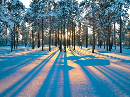 Winter Solstice: Before The Light Returns