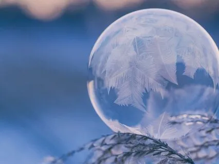 Winter Solstice Body Check In