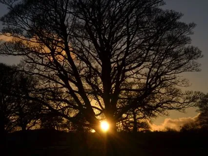 Winter Solstice Calm: Being Present With Mixed Feelings