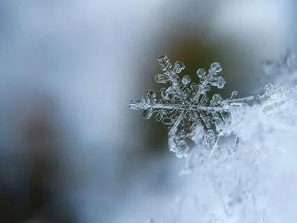 Winter Solstice Christ Light Journey