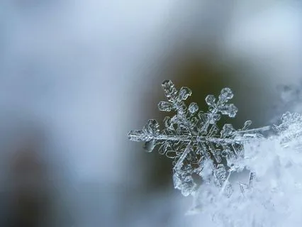 Winter Solstice Deep Rest Yoga Nidra