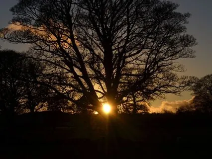 Winter Solstice - Emergence