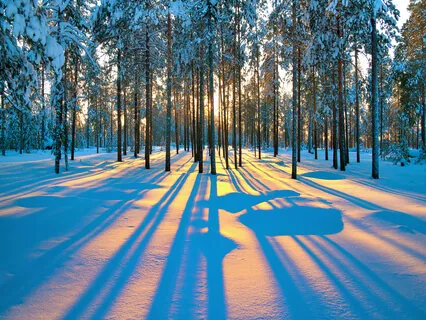 Winter Solstice Guided Meditation