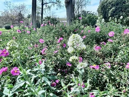 Winter Solstice Guided Visualization - The Return To Light