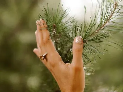 Winter Solstice Journey | Gratitude | Release | Intention