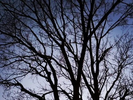 Winter Solstice Mantra