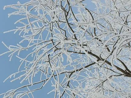 Winter Solstice Meditation - Find Peace And Connect Nature