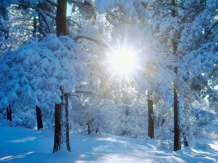 Winter Solstice Meditation - Re-Emerge Into Your Light