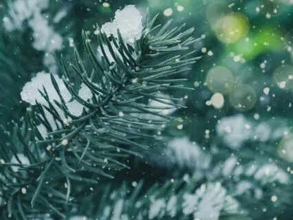 Winter Solstice Meditation