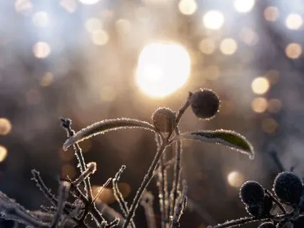 Winter Solstice Meditation