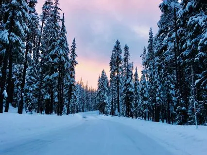 Winter Solstice Practice For Presence, Stillness And Light
