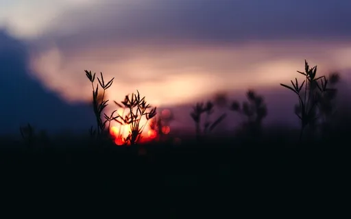 Winter Solstice Prayer