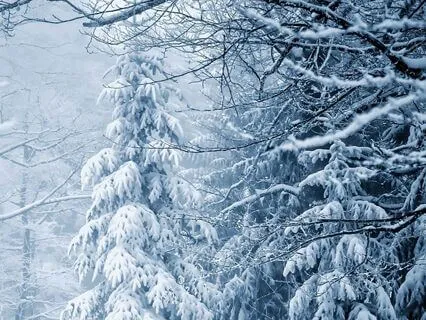 Winter Solstice Slumber