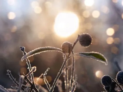 Winter Solstice: Stillness, Darkness & The Returning Light