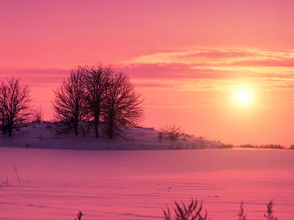 Winter Solstice Transmission