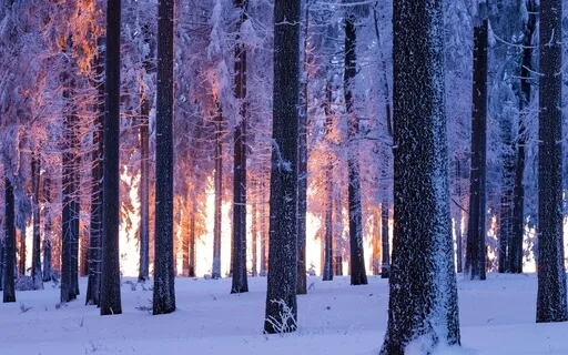 Winter Solstice Yoga Nidra | 40 Minutes Deep Rest