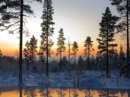 Winter Solstice Yoga Nidra: Embrace The Light Within