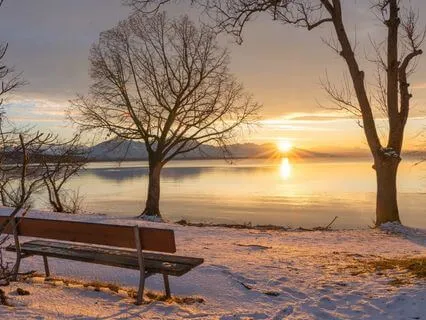 Winter Solstice Yoga Nidra | Rest, Restore & Welcome Winter