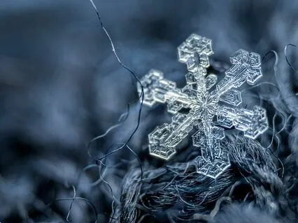 Winter Solstice Yoga Nidra