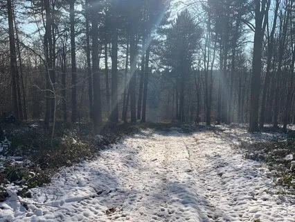 Winter Solstice Meditation