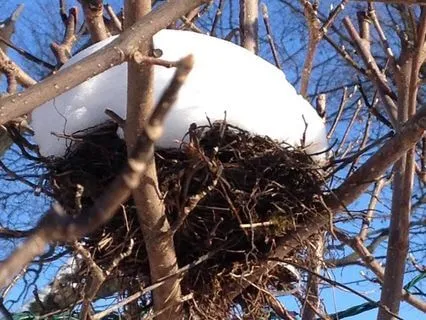 Winter Solstice Yoga Nidra