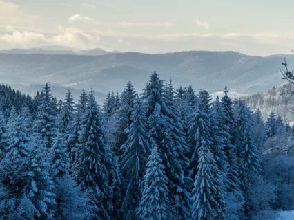 Winter Solstice's Ritual - Guided Meditation