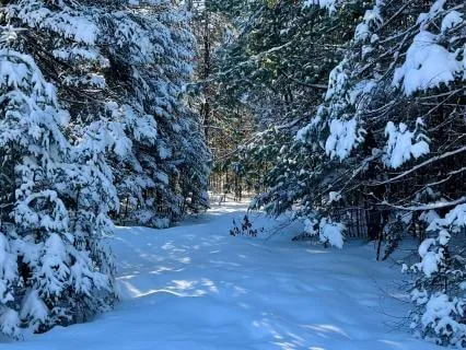 Winter Stillness: A Spiritual Reset Meditation