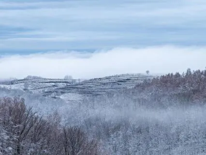 Winter Storm Lullaby: Blizzard Serenity